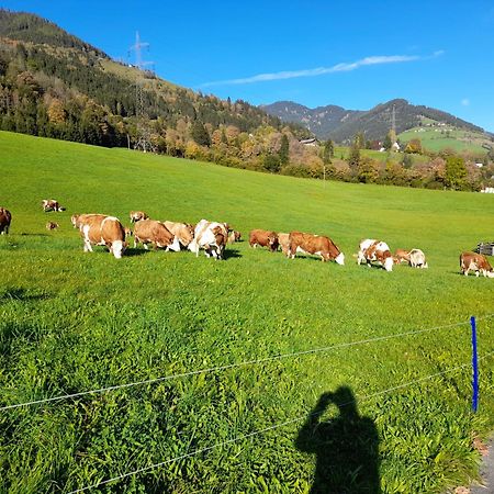 Viehhofgut Apartman Fusch an der Glocknerstraße Kültér fotó